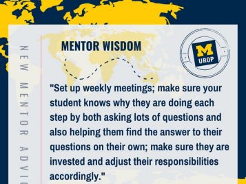 New Mentor Advice